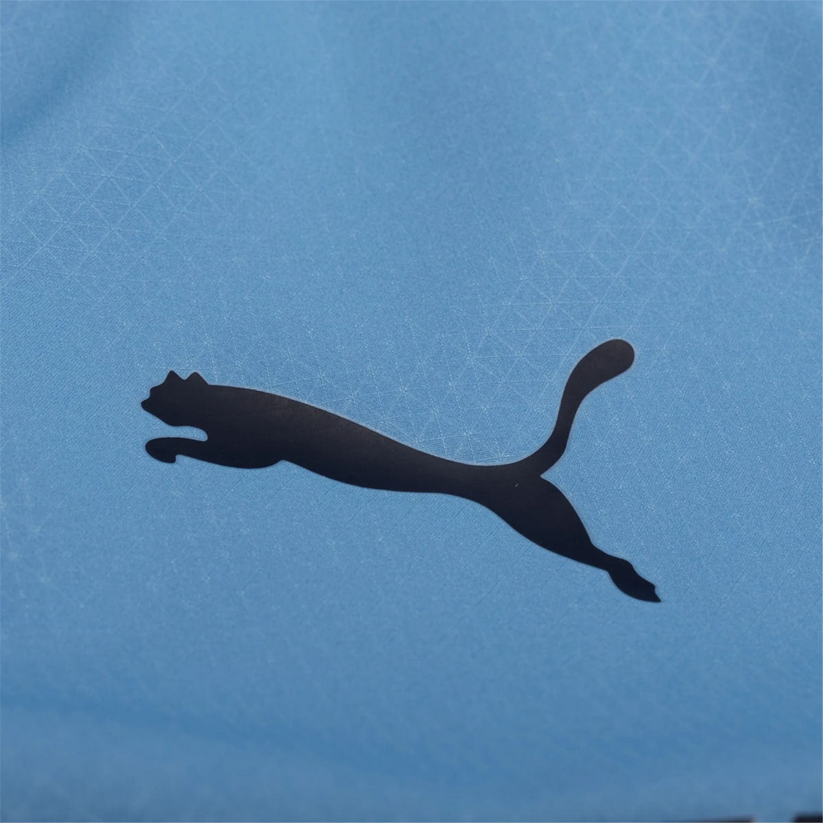 Puma Manchester City Authentic Savinho Home Jersey w/ Champions League Patches 25/26 (Team Light Blue/White)
